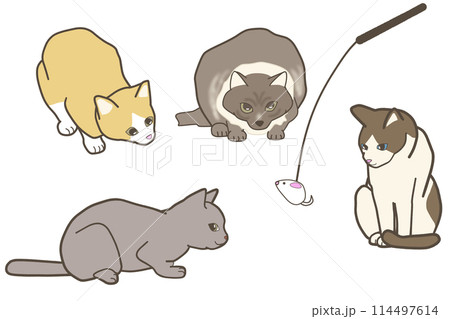 獲物を狙っている様々な猫種の全身イラスト 114497614