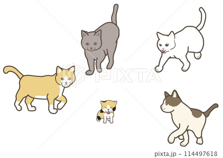 子猫に集まる様々な猫種の全身イラスト 114497618