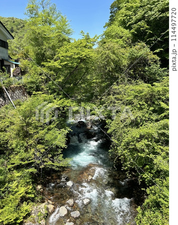 四万の甌穴 吾妻中之条町 四万の甌穴 吾妻中之条町 114497720