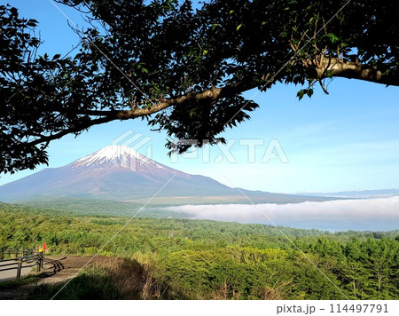 山梨・富士山の雪景色と雲海 114497791