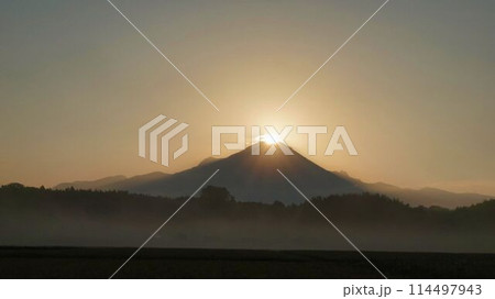 ダイヤモンド大山 114497943