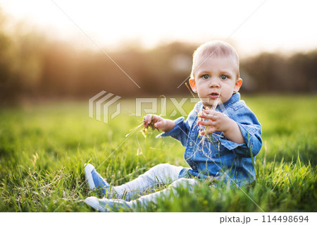 Cute toddler playing in grass. Baby on family walk k in spring nature. Happy family moment for new parents 114498694