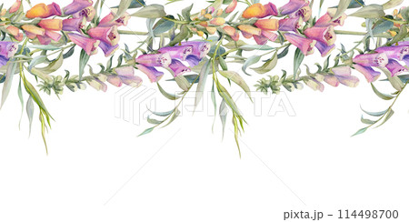 Hand drawn watercolor illustration shabby boho botanical flowers leaves. Willow eucalyptus branch, foxglove snapdragon lupin. Seamless banner isolated on white background. Design wedding, love cards 114498700