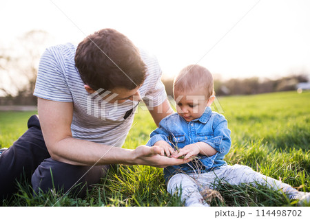Father playing with little toddler boy in grass, having fun during warm spring day. Father's day concept. Father playing with little toddler boy in grass, having fun during warm spring day. Father's day concept. 114498702