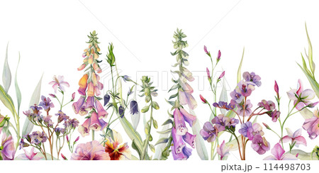 Hand drawn watercolor illustration botanical flowers leaves. Willow eucalyptus, foxglove snapdragon lupin, pink lobelia jasmine, bergenia heliotrope. Seamless banner isolated on white. Wedding, cards Hand drawn watercolor illustration botanical flowers leaves. Willow eucalyptus, foxglove snapdragon lupin, pink lobelia jasmine, bergenia heliotrope. Seamless banner isolated on white. Wedding, cards 114498703