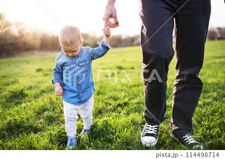 Portrait of father holding little toddler boy by hand, walking in spring nature. First steps for boy during warm spring day. Father's day concept. Portrait of father holding little toddler boy by hand, walking in spring nature. First steps for boy during warm spring day. Father's day concept. 114498714