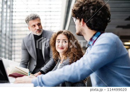 Group of colleagues, business people looking at laptop, working on project together. Brainstorming in modern office space. 114499020