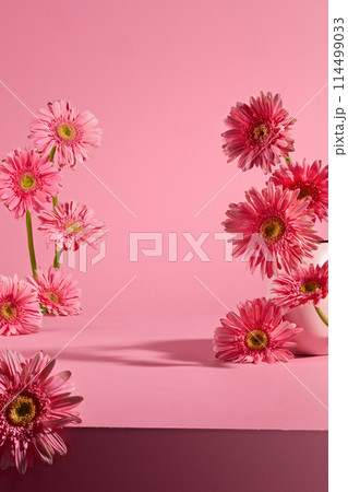 Vertical photo with flower theme, pink background with lots of gerbera decorated around, vacant space in center for showing product has natural original. Front view photo with space for text 114499033