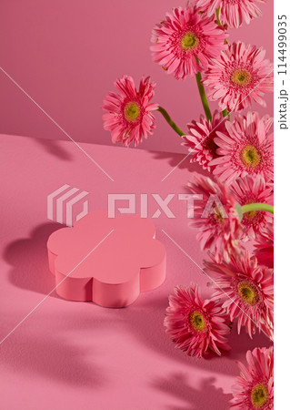 A podium with flower shape featured on pink flat form decorated by flor gerbera daisy. Blank space for displaying product with empty pedestal, view from above and pink tone 114499035