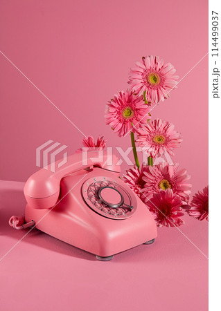 A desk phone in pink color placed on pink background with some branches of gerbera daisy flower. Copy space for adding text, frontal shot photo 114499037