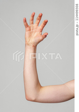 Elevated Bare Human Arm Bent at the Elbow Against a Neutral Background 114499308