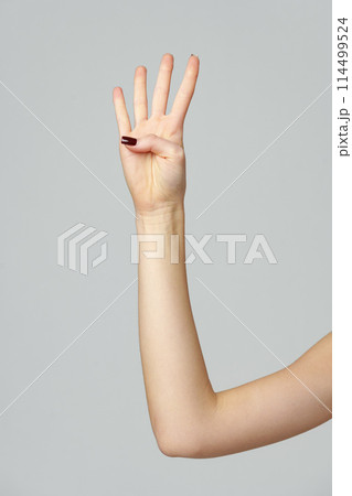 Female hand showing four fingers up on gray background Female hand showing four fingers up on gray background 114499524