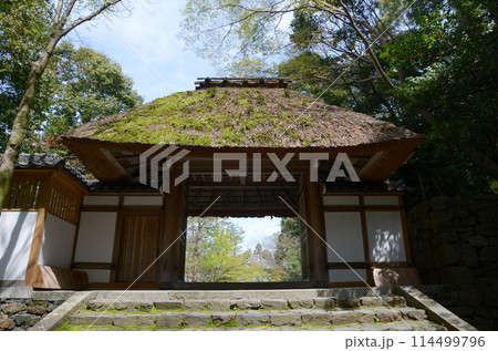 法然院 山門 京都市左京区鹿ヶ谷 法然院 山門 京都市左京区鹿ヶ谷 114499796