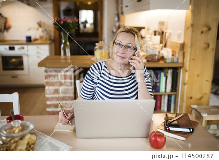 Older woman working from homeoffice, typing on laptop, making phone calls. The retiree earning extra money during retirement. 114500287