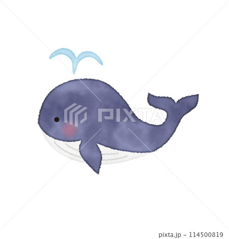 手書き風のクジラのベクターイラスト 手書き風のクジラのベクターイラスト 114500819