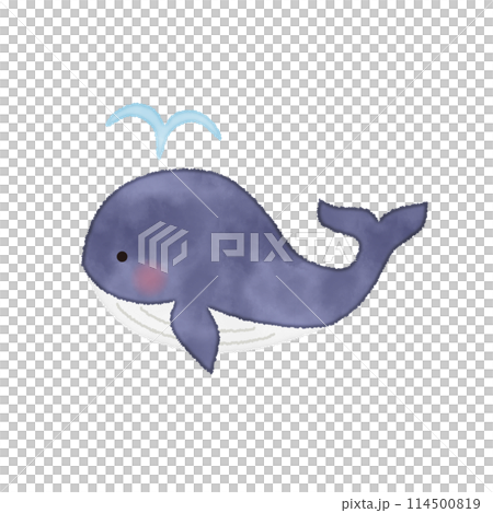 手書き風のクジラのベクターイラスト 手書き風のクジラのベクターイラスト 114500819