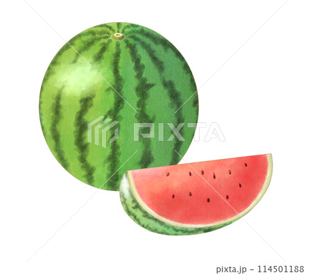カットされたスイカとひと玉のスイカ 水彩 カットされたスイカとひと玉のスイカ 水彩 114501188