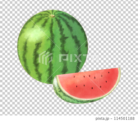 切西瓜和西瓜水彩 切西瓜和西瓜水彩 114501188