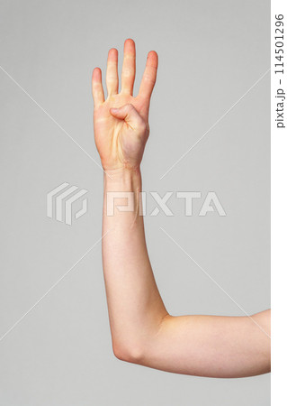 Raised Human Hand Displaying Four Fingers Against a Neutral Background Raised Human Hand Displaying Four Fingers Against a Neutral Background 114501296