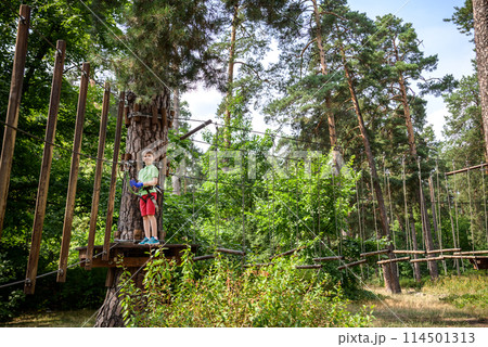 Strong excited young boy playing outdoors in rope park. Caucasian child dressed in casual clothes and sneakers at warm sunny day. Active leisure time with children concept 114501313