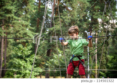 Strong excited young boy playing outdoors in rope park. Caucasian child dressed in casual clothes and sneakers at warm sunny day. Active leisure time with children concept 114501322
