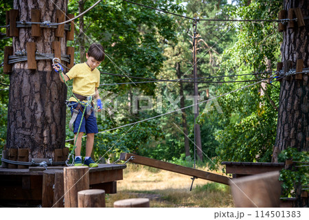 Strong excited young boy playing outdoors in rope park. Caucasian child dressed in casual clothes and sneakers at warm sunny day. Active leisure time with children concept 114501383