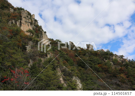 瀬戸内の島の巨石群 114501657