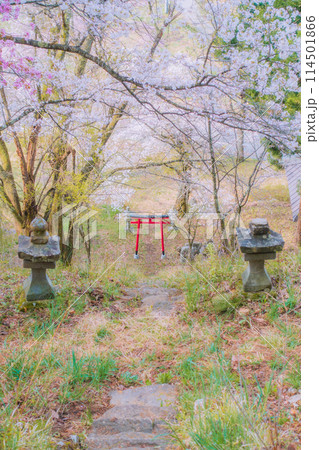 春の伝行山・稲荷神社【北安曇郡白馬村】 春の伝行山・稲荷神社【北安曇郡白馬村】 114501866