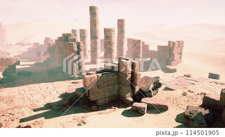 Ruins of ancient city of Palmyra 114501905
