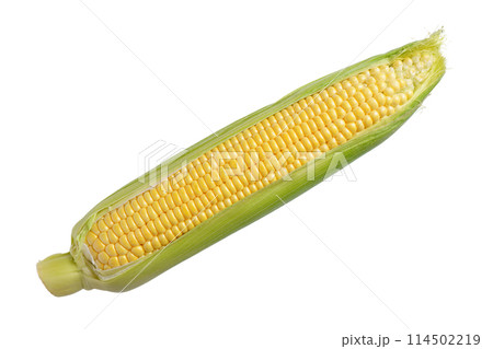 Fresh yellow ear of corn with green leaves isolated on white background Fresh yellow ear of corn with green leaves isolated on white background 114502219