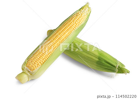 Two fresh yellow ear of corn with green leaves isolated on white background Two fresh yellow ear of corn with green leaves isolated on white background 114502220