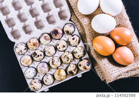 egg on black background egg on black background 114502500