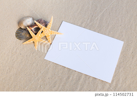 holiday beach concept with shells, seastars and an blank postcard 114502731