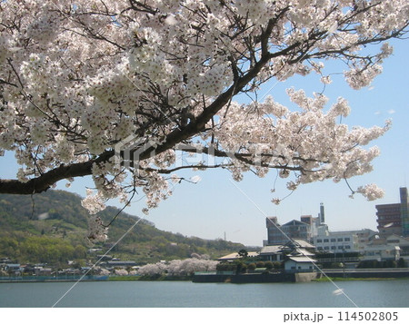 2004年・香川・宇多津・風景・其の十五 114502805
