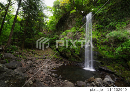 新緑の夕日の滝 114502940