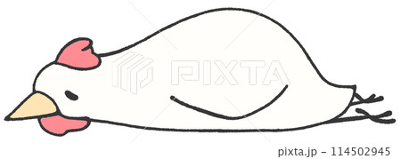 疲れてうつ伏せで休むニワトリ 疲れてうつ伏せで休むニワトリ 114502945