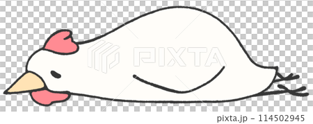 A tired chicken resting on its stomach A tired chicken resting on its stomach 114502945