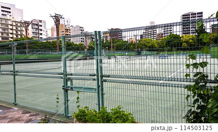 大阪の靭公園のテニスコート 大阪の靭公園のテニスコート 114503125