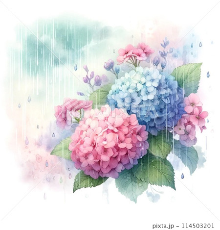 水彩で描く紫陽花のイラスト素材 [114503201] - PIXTA