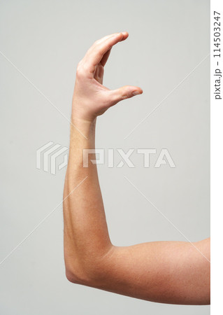 Male hand gestures over gray background studio shot 114503247