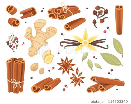Cartoon dry spices. Cinnamon sticks, allspice peas, cloves and anise stars, fragrant organic seeds, roots, ginger and vanilla, various peppers and bay leaf, culinary condiments, vector set 114503340