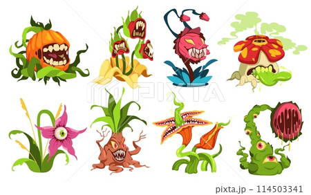 Evil carnivorous plants. Botanical scary monsters, fairytale toothy predatory flora, angry ugly flowers, fantasy characters. Creepy alien cartoon flat isolated illustration, tidy vector set Evil carnivorous plants. Botanical scary monsters, fairytale toothy predatory flora, angry ugly flowers, fantasy characters. Creepy alien cartoon flat isolated illustration, tidy vector set 114503341