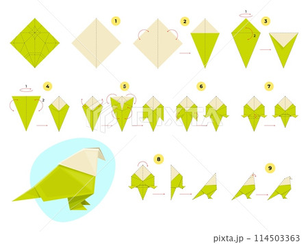 Step by step origami scheme. Instructions for bending and assembling paper bird, how to make polygonal parrot, kids toy. Handmade green pigeon cartoon flat style isolated vector concept Step by step origami scheme. Instructions for bending and assembling paper bird, how to make polygonal parrot, kids toy. Handmade green pigeon cartoon flat style isolated vector concept 114503363