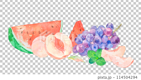 Watercolor illustration of summer fruits 114504294