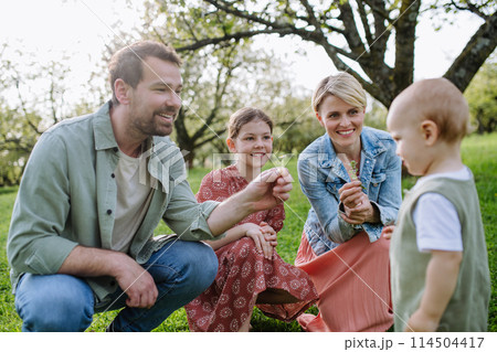 Family portrait with daughter and small toddler, baby, outdoors in spring nature. 114504417