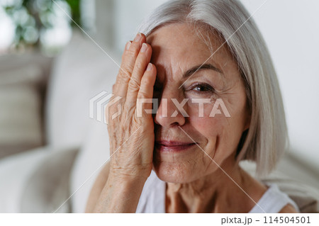Portrait of beautiful mature woman with gray hair and soft smile. Hand in front of face. 114504501
