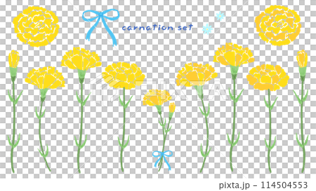 黄色いカーネーションのセット、父の日をイメージしたシンプルな手描きイラスト 114504553