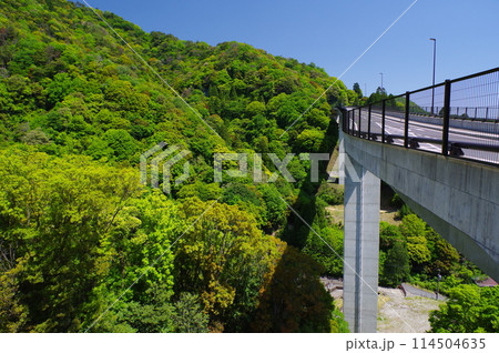 湯の山かもしか大橋 114504635