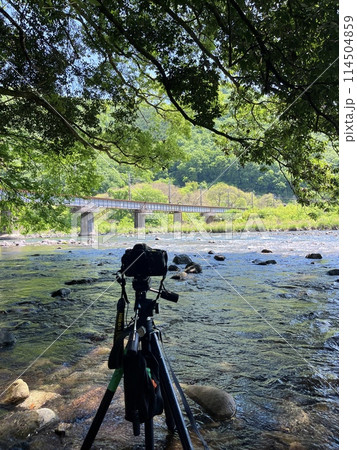 のんびり撮り鉄 114504859