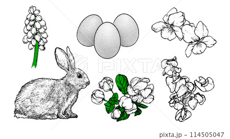 Graphical spring set isolated on white background, vector illustration 114505047